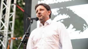 Kitalált a volt érdi LMP-s alpolgármester: megpuccsoltak, tetű módon jártak el, tort ült a vörös polip