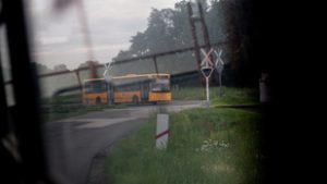 Kiderült, mennyiért dolgozhatott a Volánbusznak Magyar Péter öccse