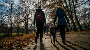 Napsütéses kedd vár ránk, 21 fokig emelkedhet a hőmérséklet