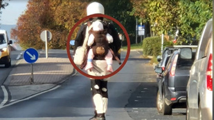 Kisbabával a hátán száguldozott egy rolleres Budaörsön