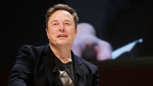 Elon Musk bárkit teherbe ejtene, aki csak kéri