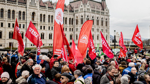 Saját jelölttel indul az MSZP a januári időközi választáson