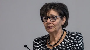 Nyugdíjba vonul Áder János testvére