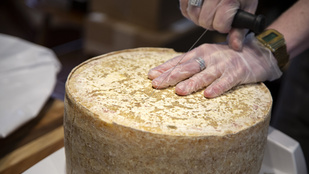 Lába kelt 24 tonna sajtnak, prémium minőségű cheddar-korongok lephetik el a fekete piacot