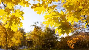 Igazi őszi idővel folytatódik a hét