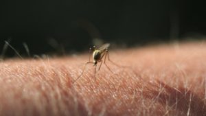 Vészesen terjed egy vírus Németországban, megnégyszereződött a fertőzöttek száma