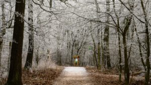 Közeleg a tél, már hószállingózásra is lehet számítani