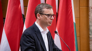 A MSZP megtalálta a jelöltjét a tolnai időközi választásra