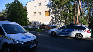 A bimbó utcai anyagyilkos azt állítja, hogy muszáj volt elkövetnie a gyilkosságot