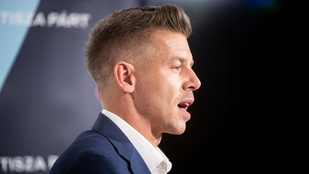 Magyar Péter: Lázár János minisztériuma kirúgta Tarr Zoltán feleségét