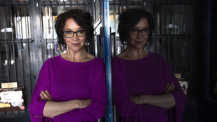 Se pénz, se párbeszéd, kifakadt a 75 éves szakmai szervezet