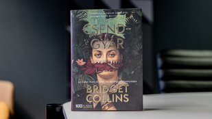 Mindent elleptek a pókok, mégis többet akarunk belőlük