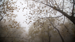 Hidegfront érkezik, borongós időjárás várható