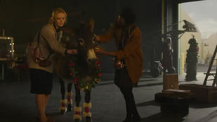 Egy szamár, egy mobil és a karácsonyi káosz