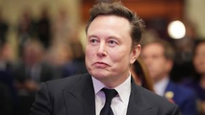 Elon Musk szerint csak az AfD mentheti meg Németországot