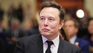 Elon Musk szerint csak az AfD mentheti meg Németországot