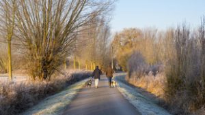 Napsütésben kezdhetjük el ledolgozni a karácsonyi kilókat