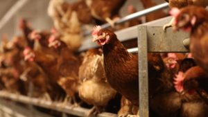 Baljós jelentés látott napvilágot, mutálódott a rettegett influenza