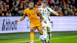 Magyar „óriás” lehet a válasz a németek évek óta megoldatlan problémájára