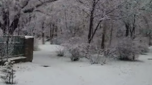 Fehérbe borult Dunaújváros, de nem a megszokott módon