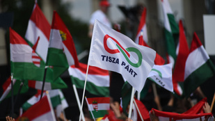 Egy húszéves fiatal céget alapított a Tisza Pártnak