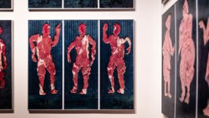 Húscafatok lógnak a falon, áprilisig mindenki a csodájára járhat