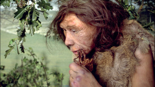 110 ezer éves rejtélyre derülhetett fény, emiatt halhattak ki a neandervölgyiek