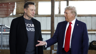 Meglepi a washingtoni kormányhivatalban: videón, ahogy Trump csókolgatja Elon Musk lábát