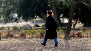 Egyre melegebb, tavaszias időnek örülhetünk