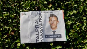 Magyar Péter kárpátaljai látogatást javasolt Orbán Viktornak