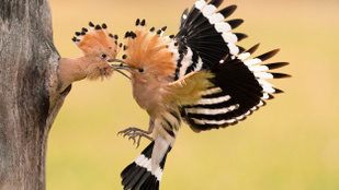 Varázslatos képeken Magyarország