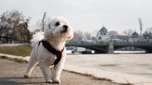 Marad a napos idő, akár húsz fok is lehet