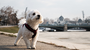 Marad a napos idő, akár húsz fok is lehet
