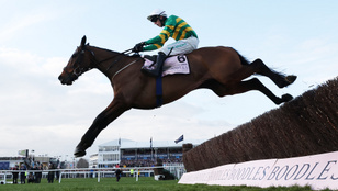 Nagyot repült egy ember, akit ló rúgott meg, videón a rémisztő pillanat