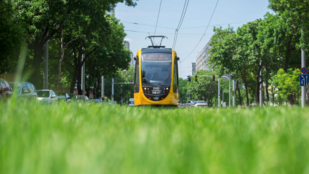 Forgalomba állt két új akadálymentes villamos Budapesten