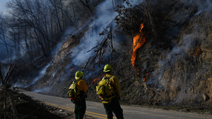 Több államban is erdőtűz pusztít az Egyesült Államokban