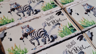 Megérkezett a legújabb politikai édesség Hódmezővásárhelyre, az örökbefogadható Zebra
