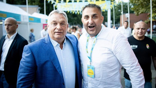 Megvan Orbán Viktor zebrája, Gáspár Győző megtalálta az igazit