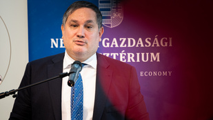 Nagy Márton új vezetőt nevezett ki az N7 Holding élére