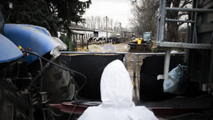 Nemzeti parkokat zárnak le a száj- és körömfájás miatt Magyarországon