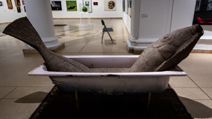 Halott macska és emberméretű hal borzolja a kedélyeket