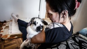 Az emberek egészséges állatokat megkínoznak, én pedig még a beteghez is ragaszkodom