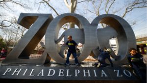 Veszélyeztetett teknősök jöttek világra a Philadelphiai Állatkertben
