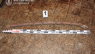 Botokkal felfegyverkezve tört be két fiatal egy nyugdíjashoz