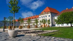 A kérdés a következő: ki alkalmasabb a NER vezetésére, Orbán vagy Magyar?