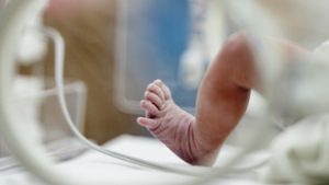 Másik pár gyerekét hordta ki tévedésből egy ausztrál nő