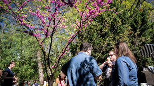 Jön az ítéletidő, az egész országra kiadták a figyelmeztetést zivatar és felhőszakadás miatt