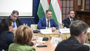 Egy törvénytervezet szerint a bíróságnak saját késlekedése esetén fizetnie kell a feleknek