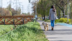 Tudja, miről kapta a nevét a Rákos-patak?
