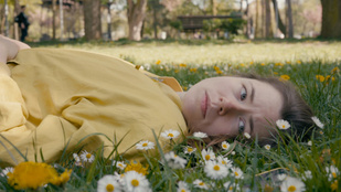 Oscar-kvalifikáló eseményként tér vissza az idei Friss Hús